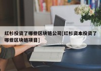 红杉投资了哪些区块链公司[红杉资本投资了哪些区块链项目]